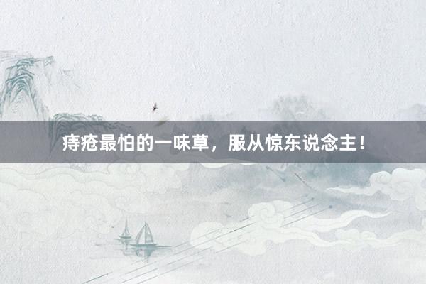 痔疮最怕的一味草，服从惊东说念主！