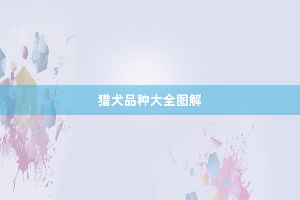 猎犬品种大全图解